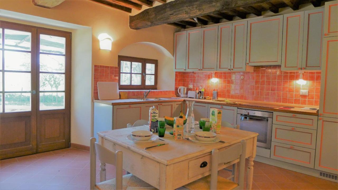 Podere San Giuseppe Maremma Castelnuovo di Val di Cecina Exterior photo